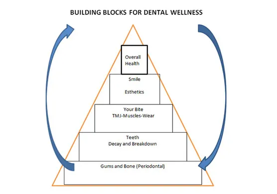 Buillding Blocks for Dental Wellness